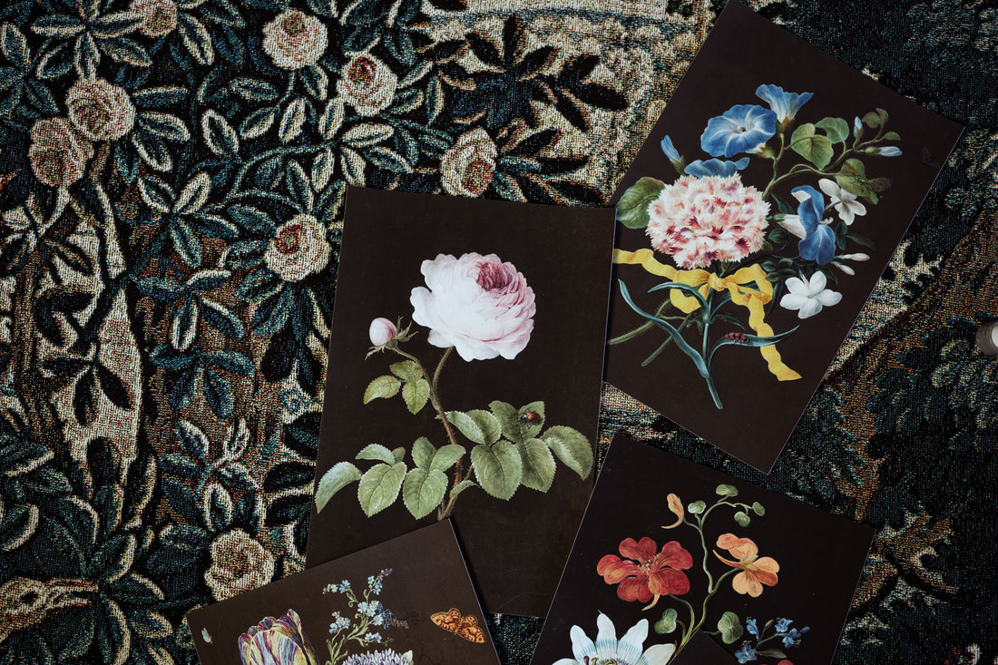The Timeless Appeal of Barbara Dietzsch's Botanical Art