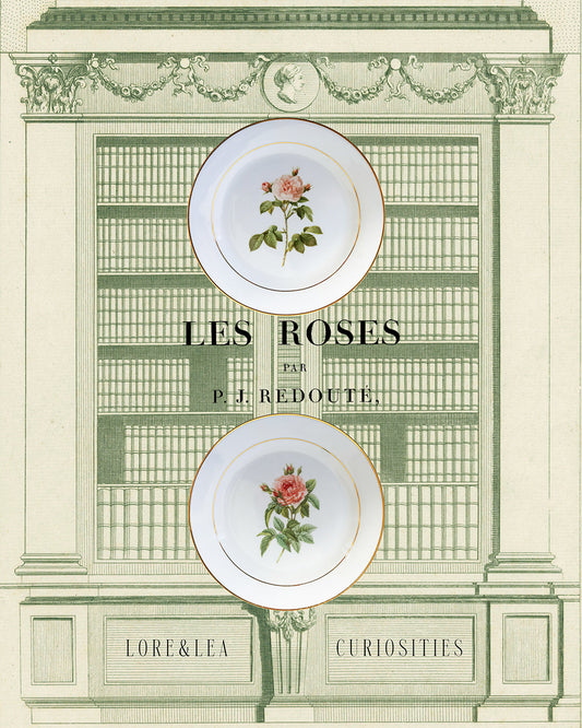 Botanical Porcelain Plate - Rosa Gallica Regalis