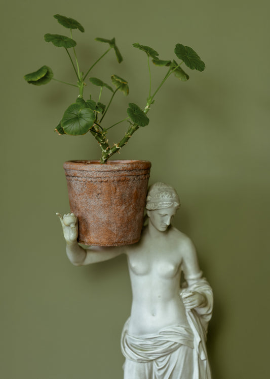 Aged Scallop Garden Pot