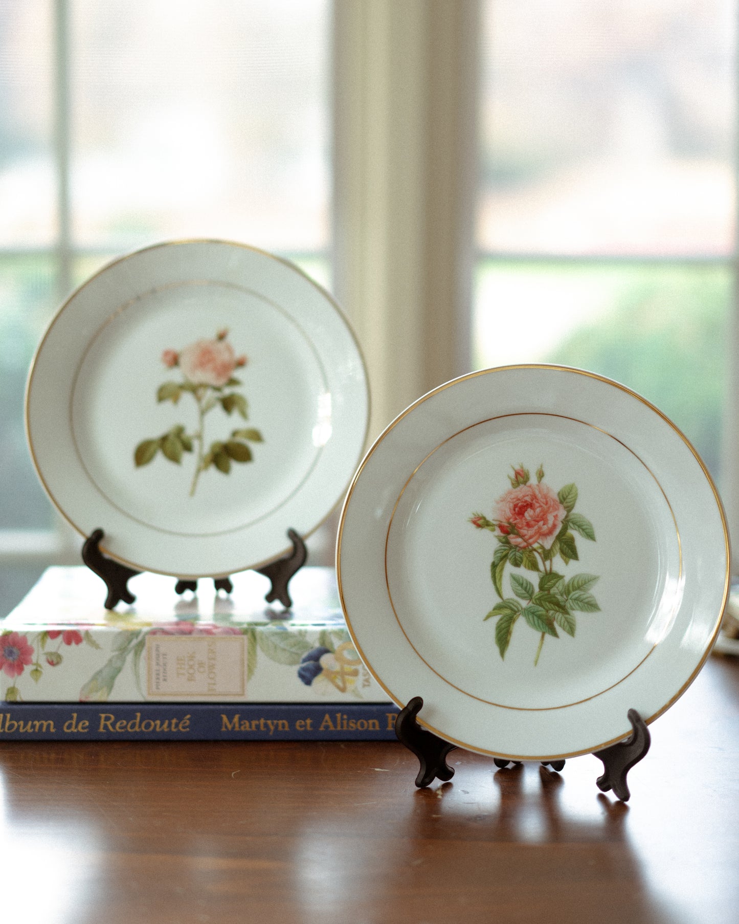 Botanical Porcelain Plate - Rosa Alba Regalis