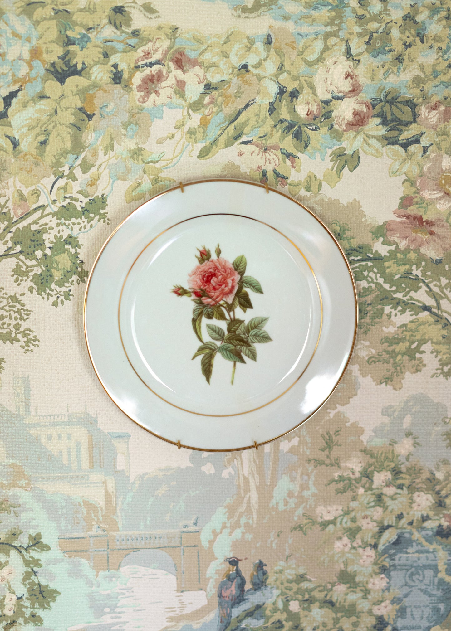 Botanical Porcelain Plate - Rosa Gallica Regalis