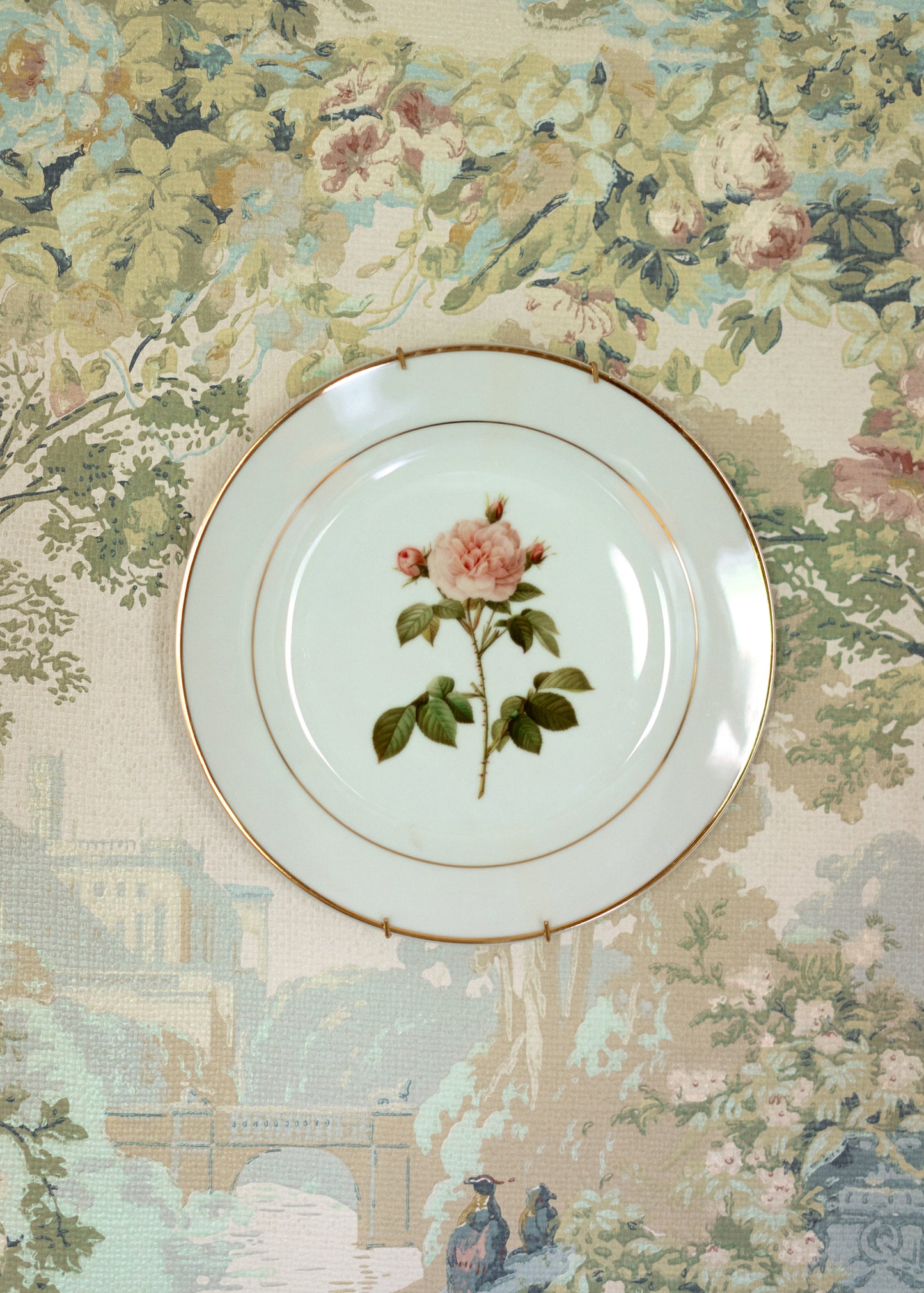 Botanical Porcelain Plate - Rosa Alba Regalis