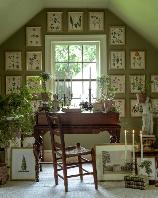 The Garden Curiosity Room