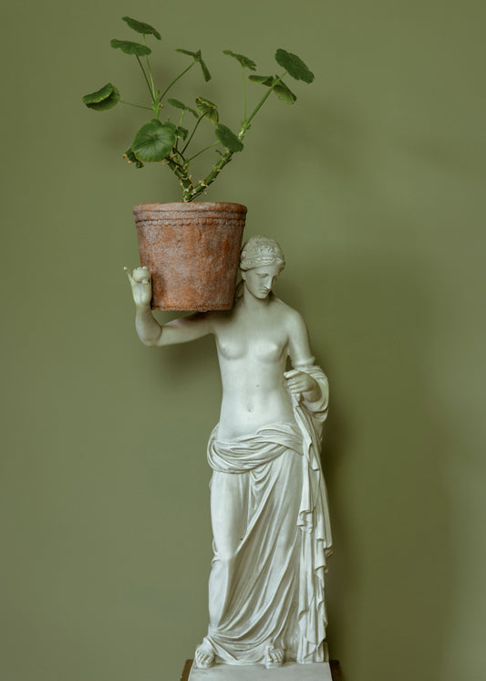 Aged Scallop Garden Pot