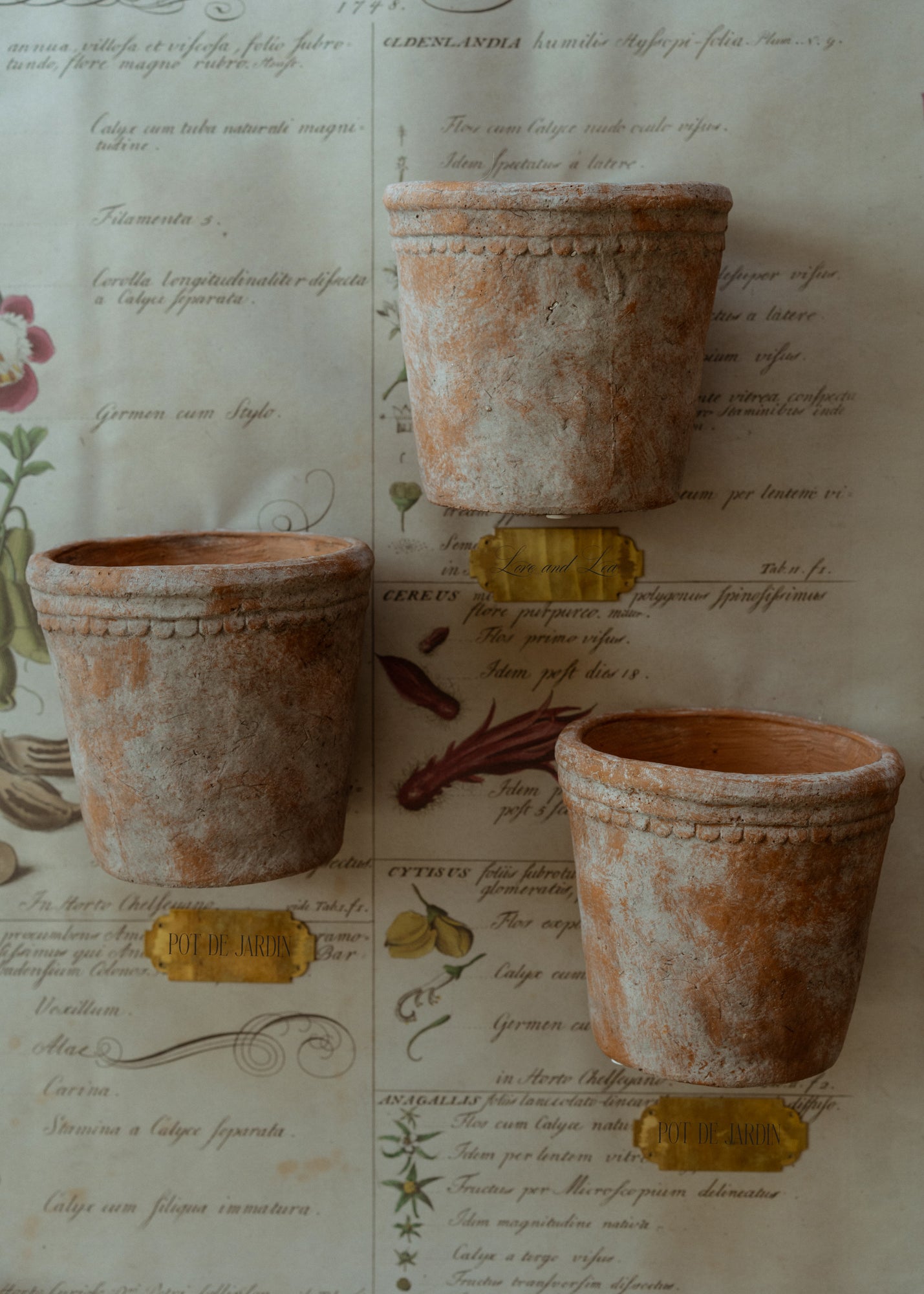 Aged Scallop Garden Pot