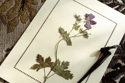 Hemstitch Parchment Paper