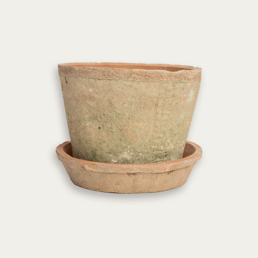 Aged English Terra Cotta Planter