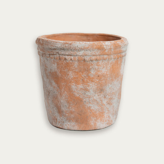 Aged Scallop Garden Pot