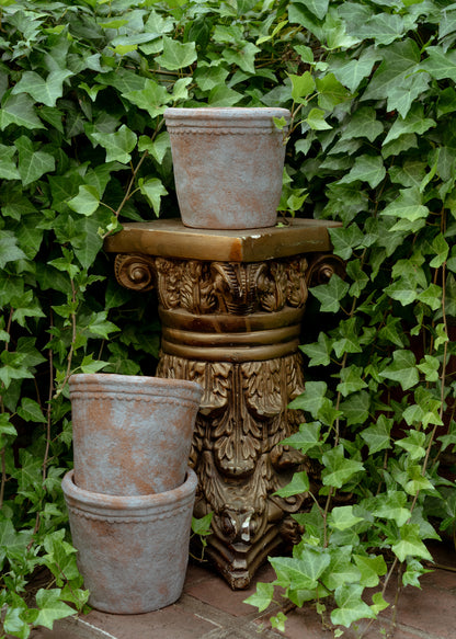 Aged Scallop Garden Pot