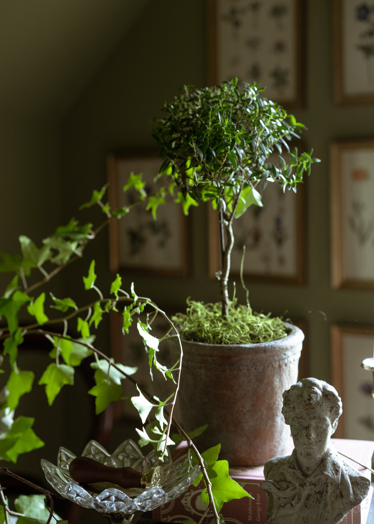 Aged Scallop Garden Pot