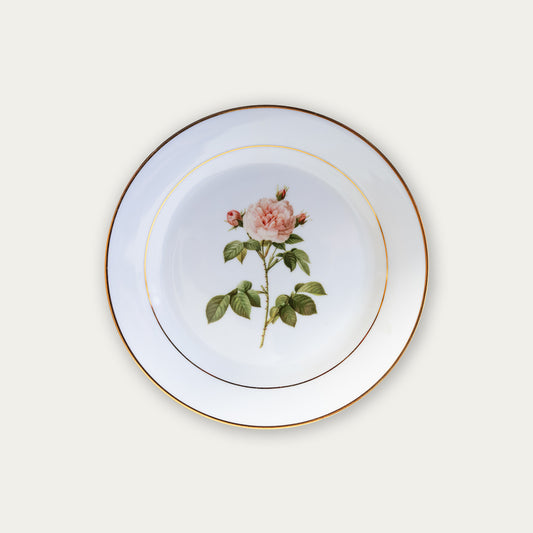 Botanical Porcelain Plate - Rosa Alba Regalis