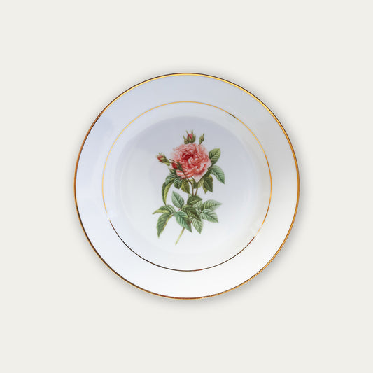 Botanical Porcelain Plate - Rosa Gallica Regalis