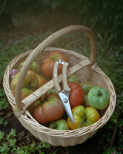 Classic Wooden Garden Shears